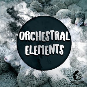 Orchestral Elements
